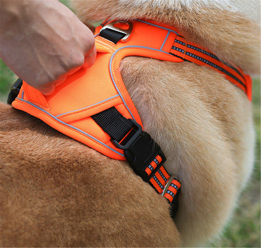 Sturdy Waterproof Dog Harness with Handle